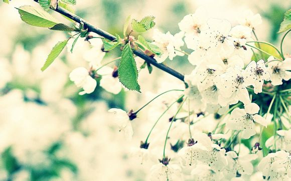 文雅霸气的篮球队名字