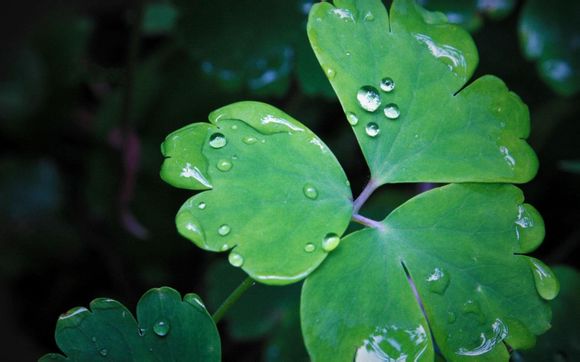 意甲是哪个国家