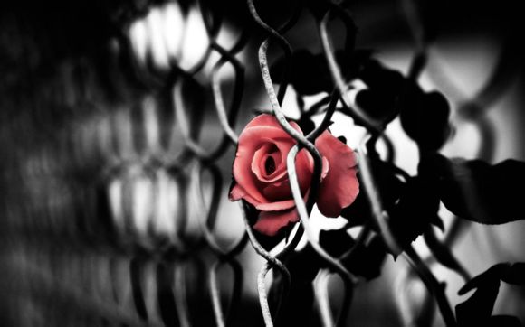 nba比赛难度排名