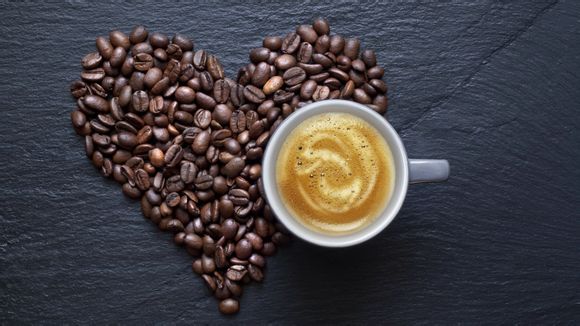 1998年世界杯决赛巴西阵容