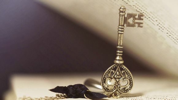 国王对黄蜂预测