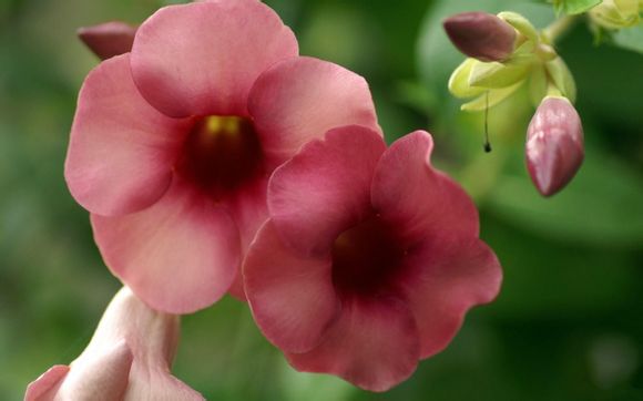 nba热火队阵容名单