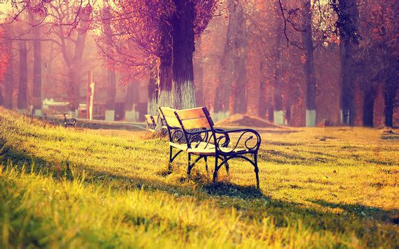 姚明生涯最后一场比赛