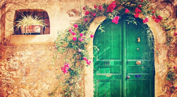 维金斯身高对比