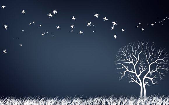 快船森林狼比分预测