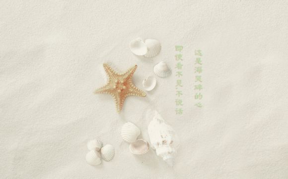 布罗格登的身高体重