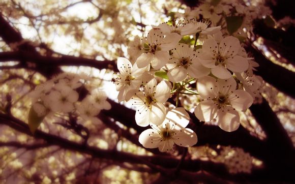 湖人队战况如何