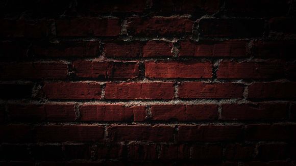 达米恩威尔金斯好玩吗