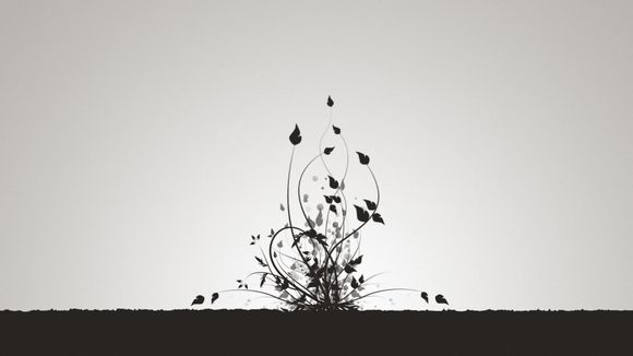 英超联赛射手排名