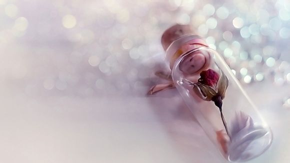 马刺阵容2023 文班亚马