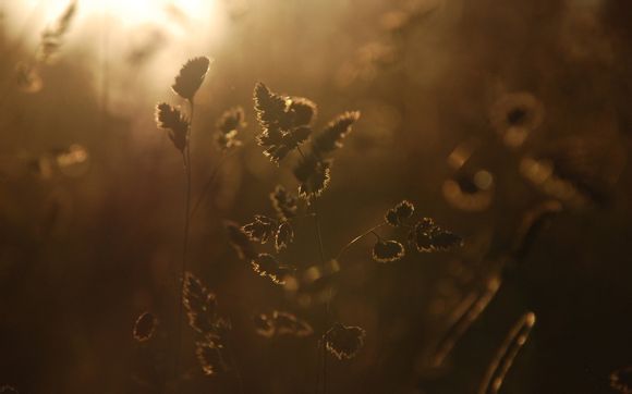 火箭队希腊后卫有哪些