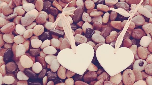 nba东西部排名单