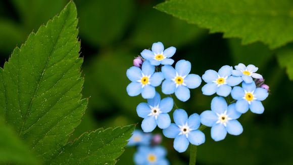 中国进世界杯了吗今年