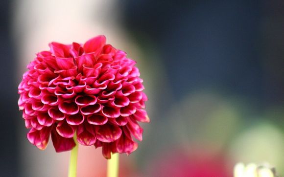 乌克兰最近比赛比分