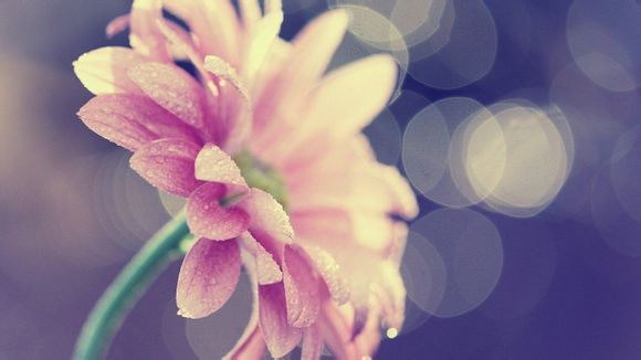 2021年3月21日最新拳击比赛