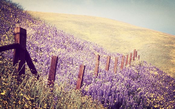 辽宁篮球队员介绍