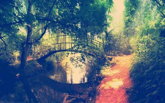 里约奥运会男篮亚军