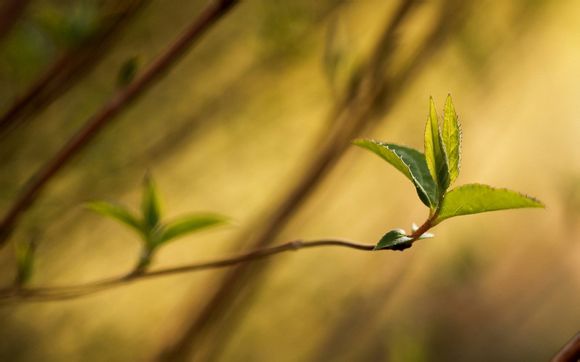 全明星比赛都有哪些时间