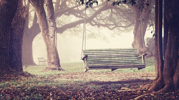 最新金牌榜奥运会2022最新排名