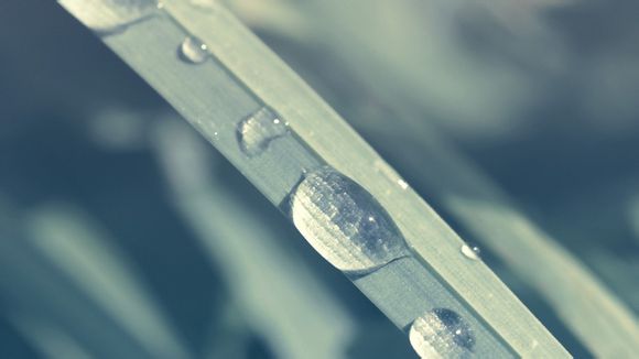 国王对奇才的比分预测