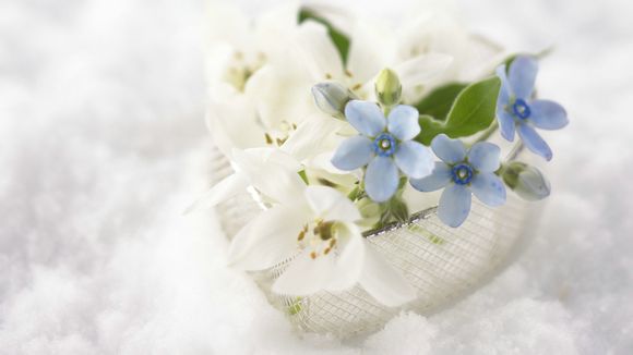 历届世界杯最佳新人