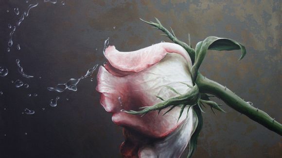 cba张昊是哪里人