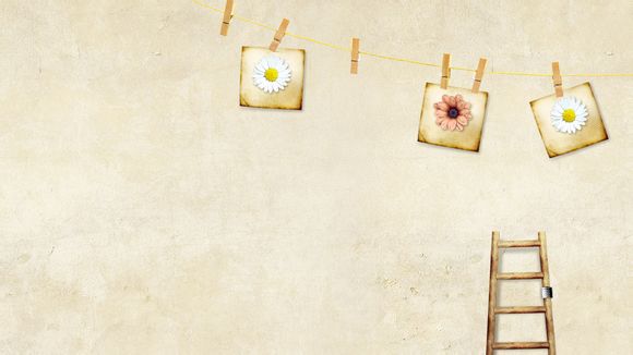 nba历史最好的控卫