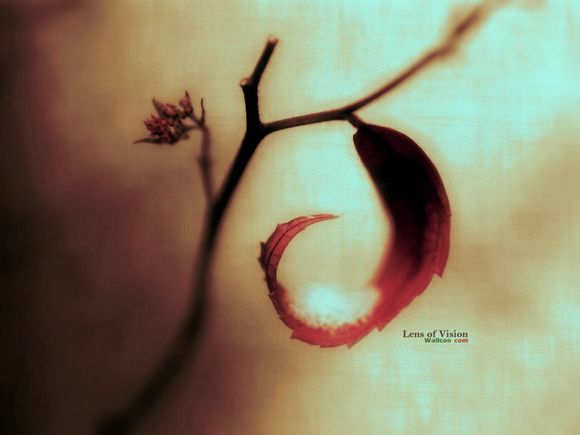 马拉松比赛多少分钟