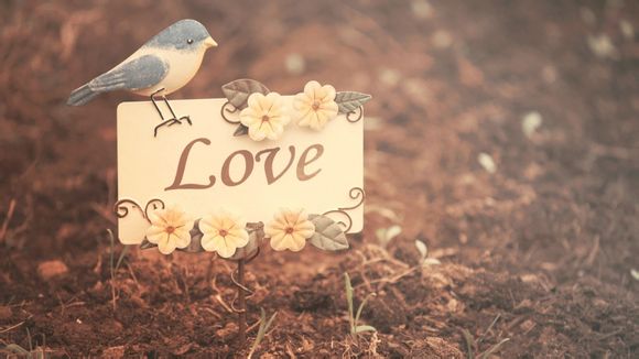 欧洲杯排行榜2021