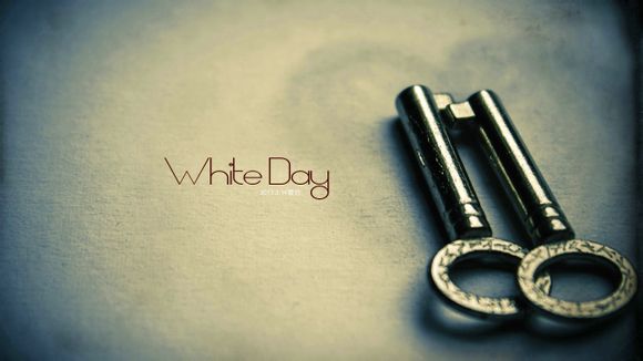 mn球衣球员版和球迷版区别