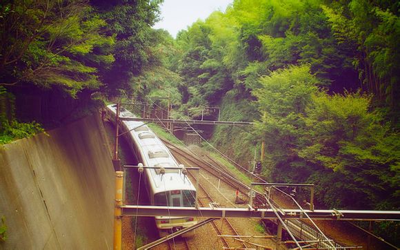 世界杯都是在哪里举办的