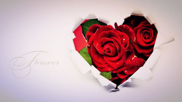 科比球衣的号码