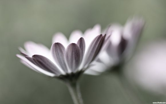 巴萨为什么不签约梅西