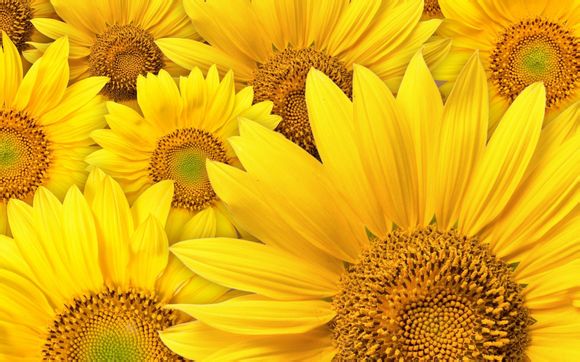 梅西跟c罗转会费谁高