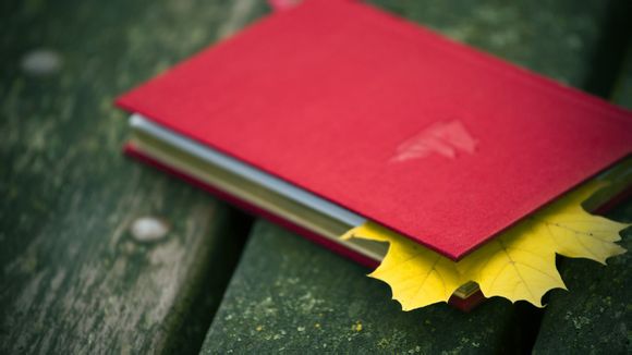 最强nba内测资格申请