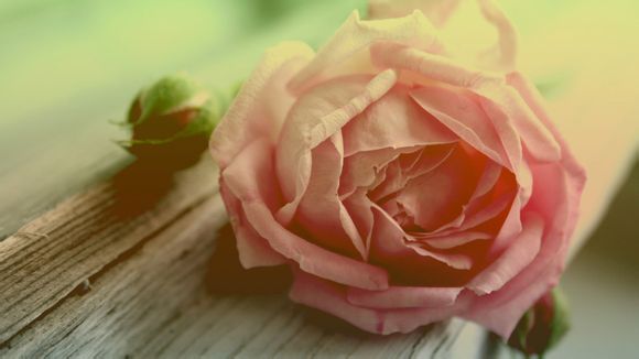 2020东京奥运会赛程多少天