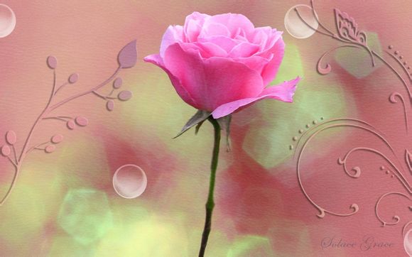 1966世界杯冠军是谁