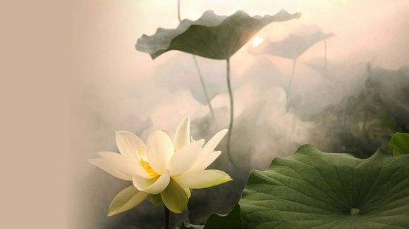 威少在湖人薪资