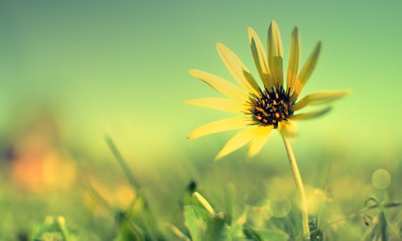 2021勇士还有几场比赛