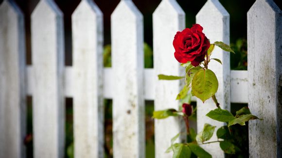 篮球比赛活动方案怎么写