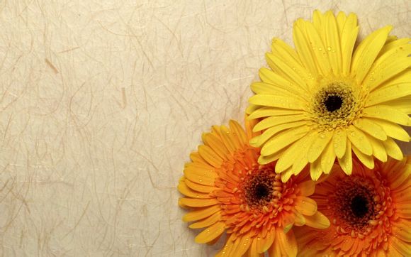 詹姆斯生涯总决赛三分命中率