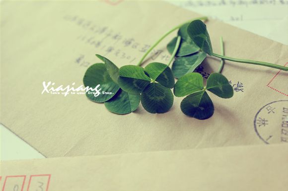 没有获得过nba总冠军的球队